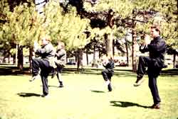 Kung Fu Pants
