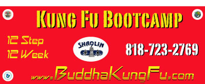 12 Step 12 Week Kung Fu Bootcamp 